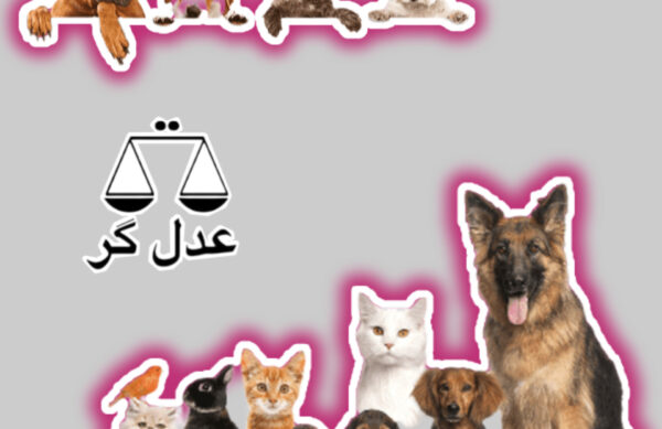 نگهداری از حیوانات چه مسئولیت های قانونی دارد